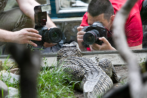 Новые постояльцы зоопарка в Белграде